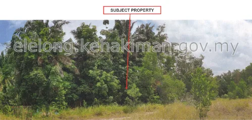 Lot 2924, Kampung Serdang, 32000, Sitiawan, Perak - Auction Land