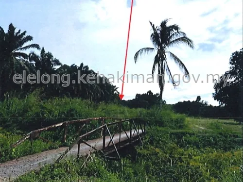 PT 252, KAMPUNG KUBANG TEMPAYAN, 16450, KOTA BHARU, Kelantan - Auction Land