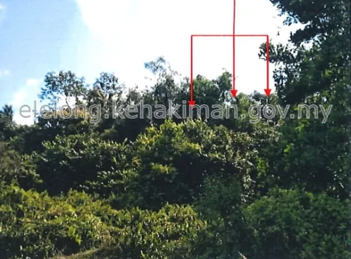 LOT 5104, KAMPUNG CHERANG HANGUS, 17000, PASIR MAS, Kelantan - Auction Land