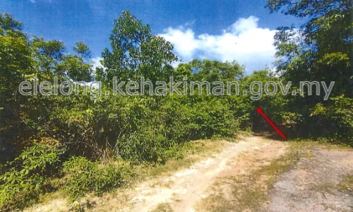 PT 8231, KAMPUNG TANDAK KETAM, 17500, TANAH MERAH, Kelantan - Auction Land