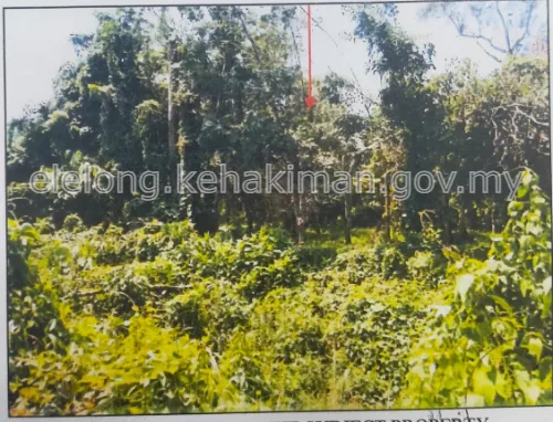 LOT 815, JALAN TEMANGAN, KG PAUH, 18400, MACHANG, Kelantan - Auction Land