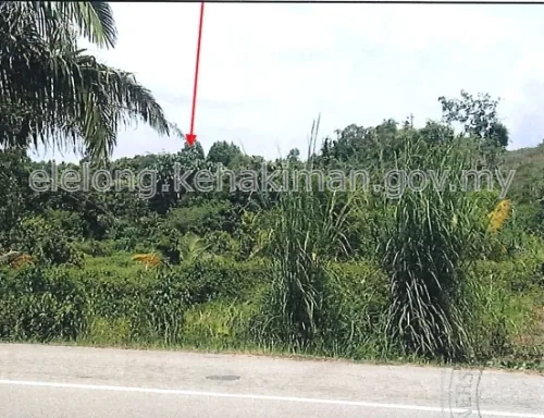 LOT 3625, KAMPUNG BATU 6, 17500, TANAH MERAH, Kelantan - Auction Land