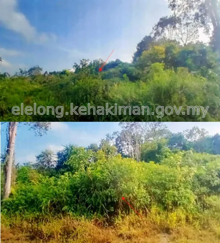 LOT 4414, JALAN BATU KARANG, KG. GUAL MESA, 17000, PASIR MAS, Kelantan - Auction Land