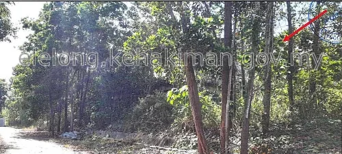 PT 12101, Jalan Jelutong 1, Taman Rimba, 28400, Mentakab, Pahang - Auction Land