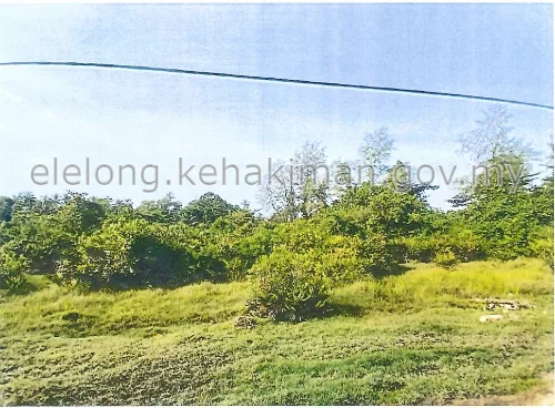 LOT 151, 152, 153, 154, 155, 156, 157, 158 & 159, KAMPUNG PAUH SERATUS, 16200, TUMPAT, Kelantan - Auction Land
