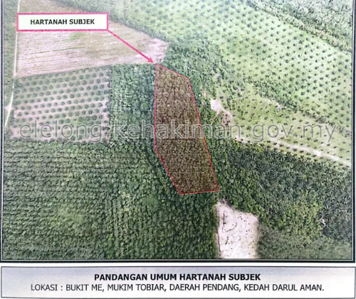 Lot 2663, Bukit Me, 06750, 06750, Pendang, Kedah - Auction Land