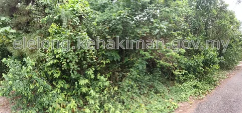 -, Jalan Arawana 1, Taman Arawana, 71750, Lenggeng, Negeri Sembilan - Auction Land